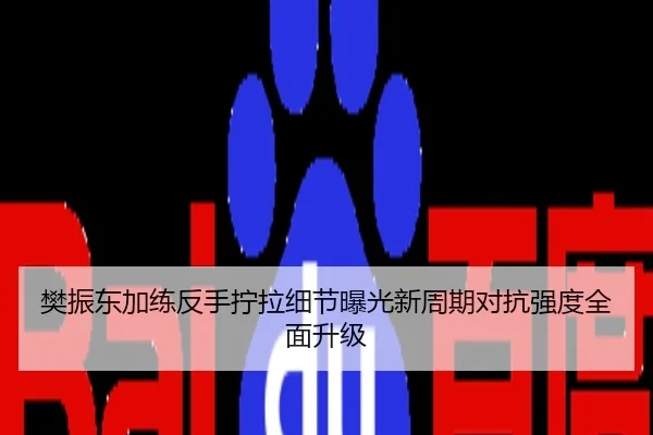 樊振东加练反手拧拉细节曝光新周期对抗强度全面升级