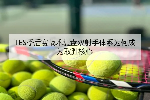 TES季后赛战术复盘双射手体系为何成为取胜核心