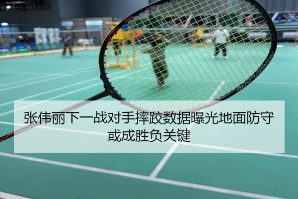 张伟丽下一战对手摔跤数据曝光地面防守或成胜负关键